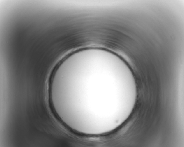 X0000089451126200706221242