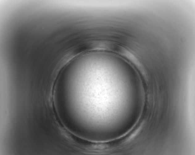 X0000089451129200706221242