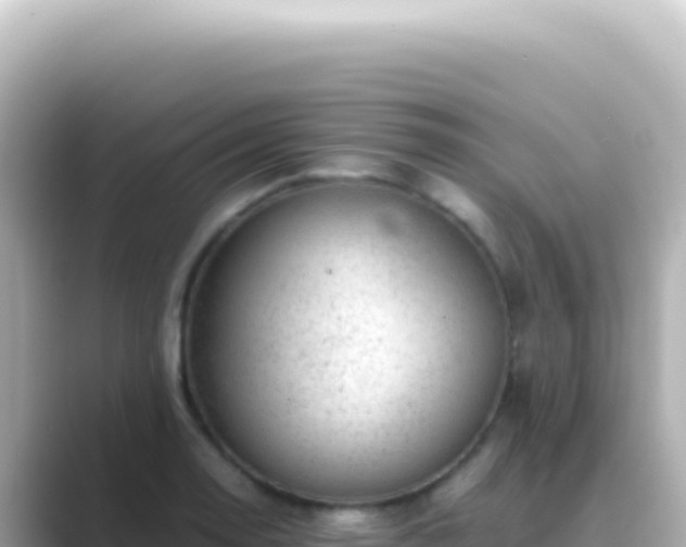 X0000089451130200706221242