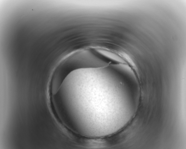X0000089451133200706221242