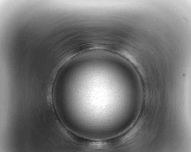 X0000089451137200706221242