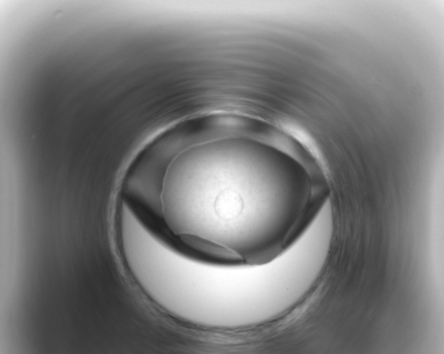 X0000089451138200706221242