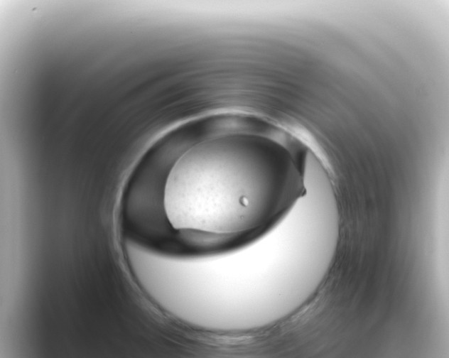 X0000089451140200706221242