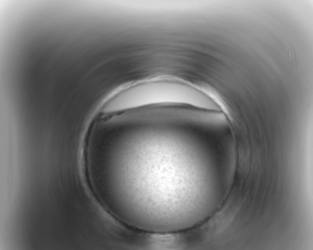 X0000089451142200706221242