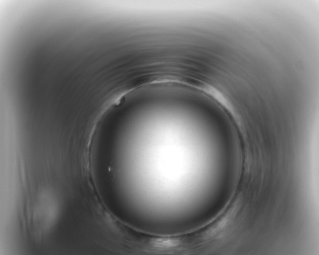 X0000089451145200706221242