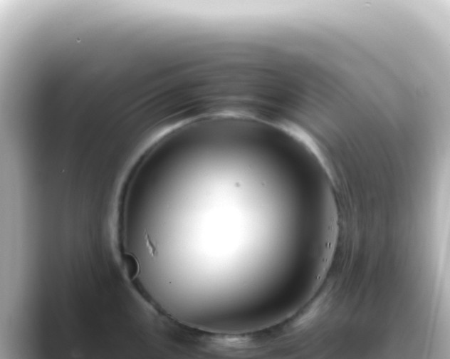 X0000089451147200706221242