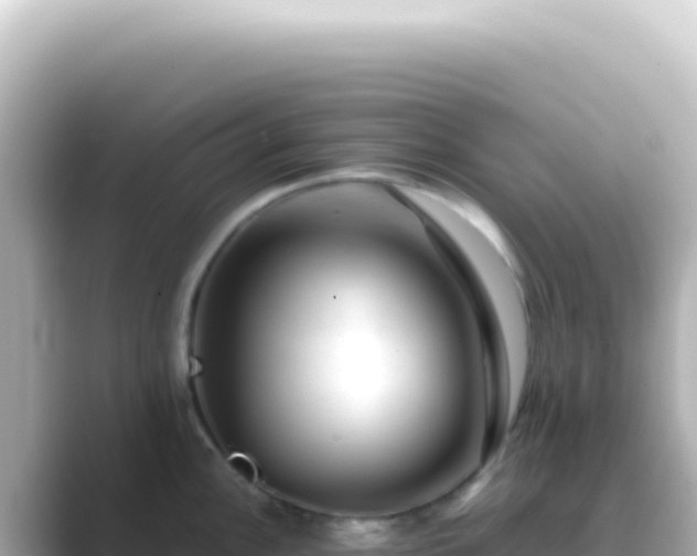 X0000089451148200706221242
