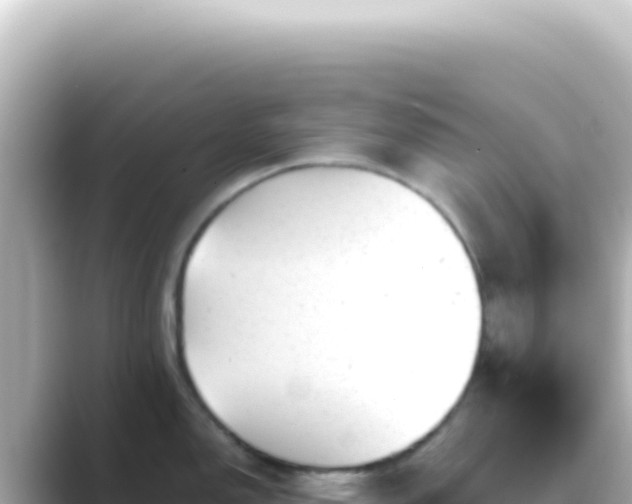 X0000089451150200706221242