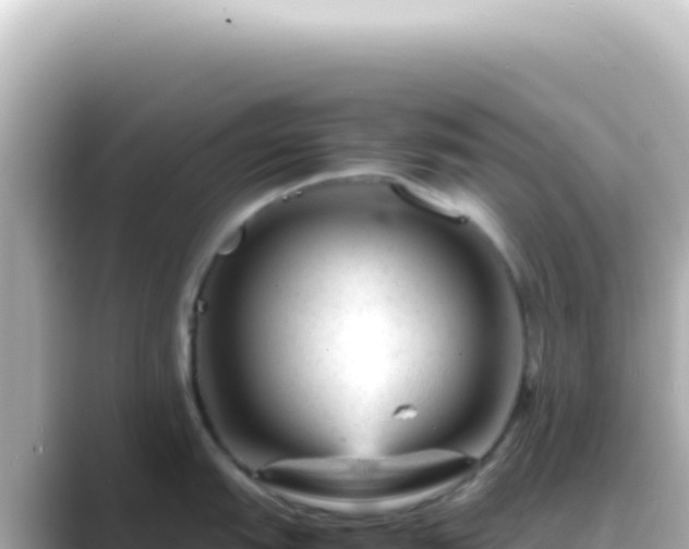 X0000089451151200706221242