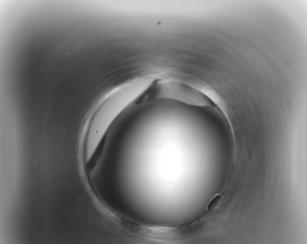 X0000089451152200706221242