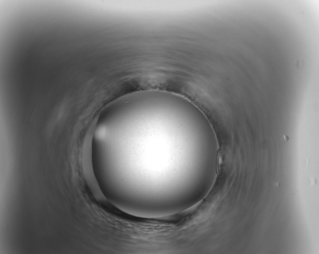 X0000089451153200706221242