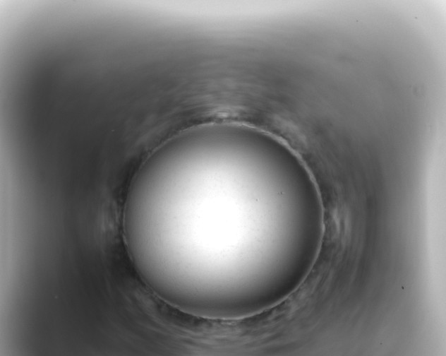 X0000089451158200706221242