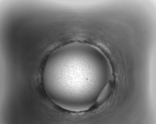 X0000089451159200706221242