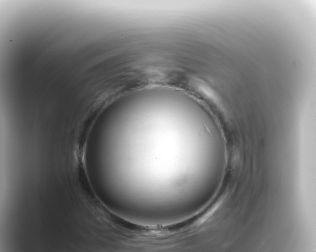 X0000089451161200706221242