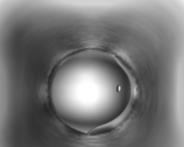 X0000089451164200706221242