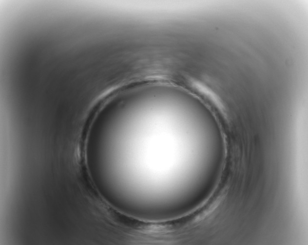 X0000089451166200706221242