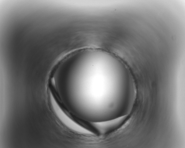 X0000089451168200706221242