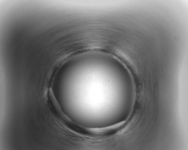 X0000089451169200706221242