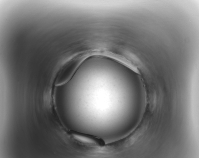 X0000089451172200706221242