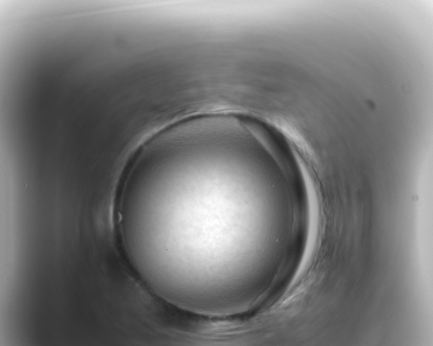 X0000089451173200706221242