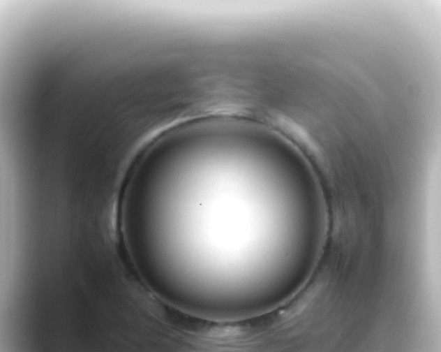 X0000089451174200706221242