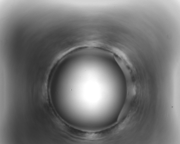X0000089451176200706221242