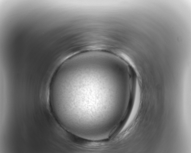 X0000089451179200706221242