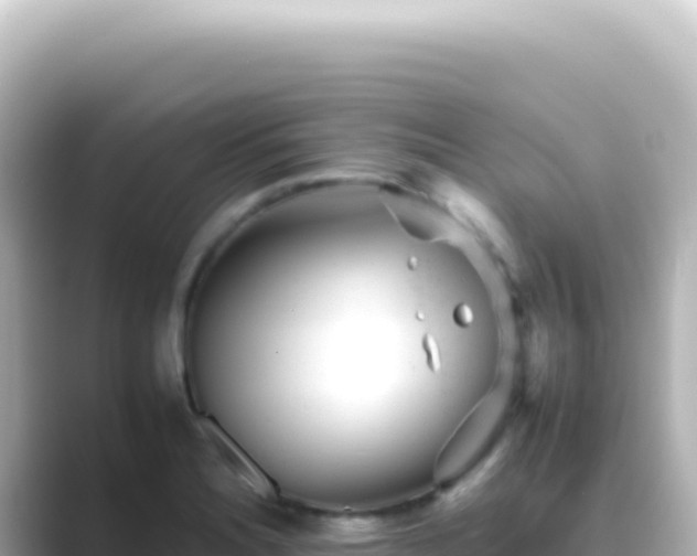 X0000089451180200706221242
