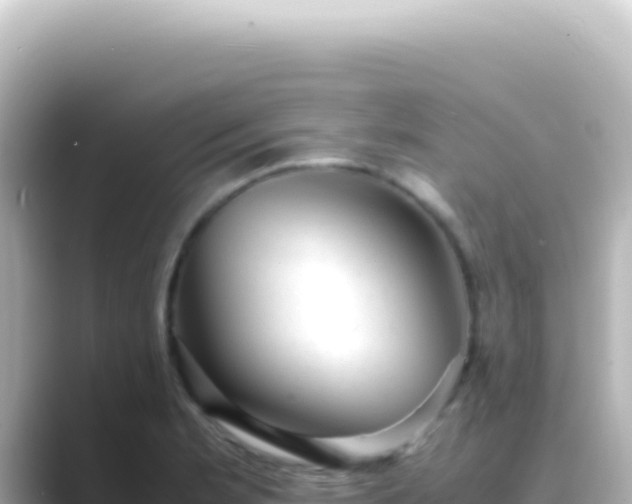 X0000089451181200706221242