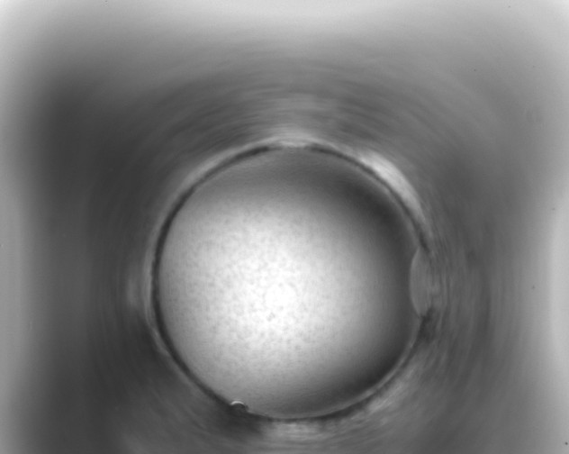 X0000089451183200706221242