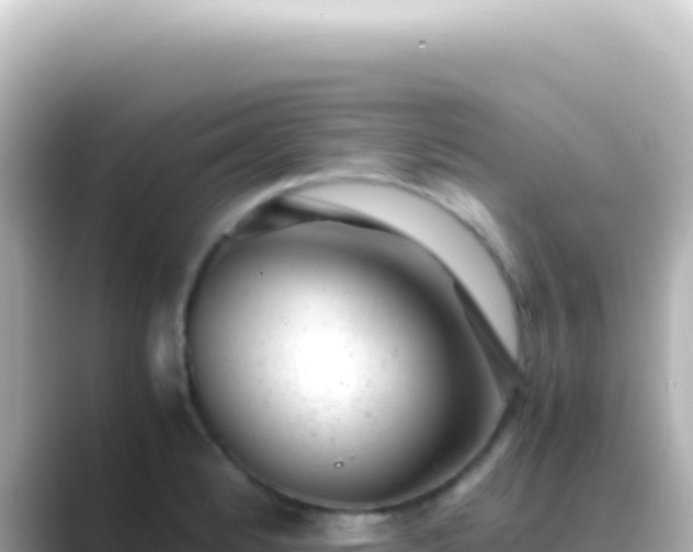 X0000089451184200706221242