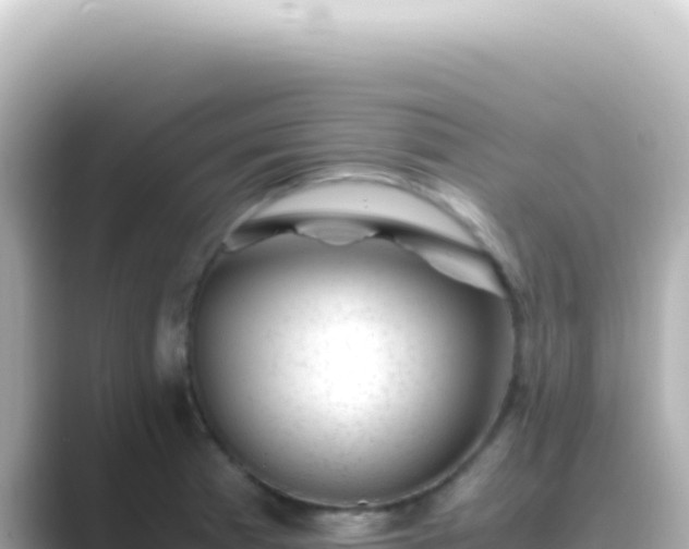 X0000089451185200706221242