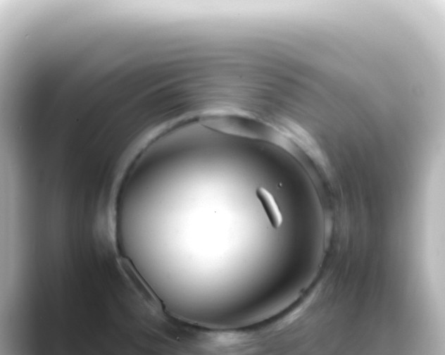 X0000089451188200706221241