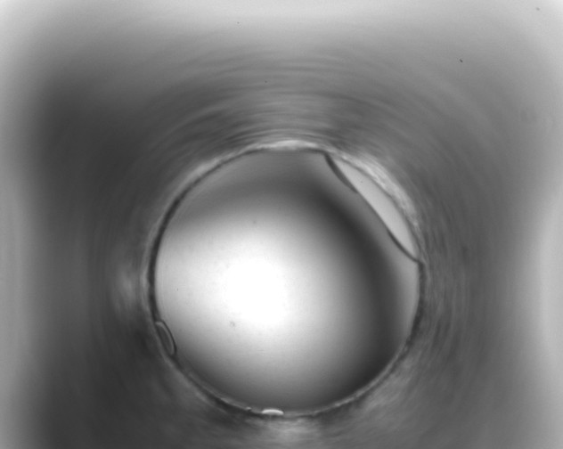 X0000089451189200706221241