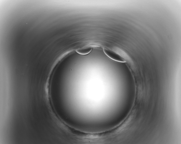 X0000089451190200706221241