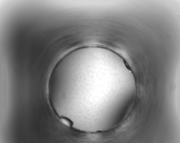 X0000089451191200706221241
