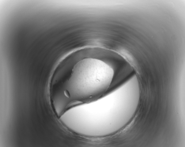 X0000089451192200706221241