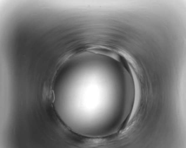 X0000089451193200706221241