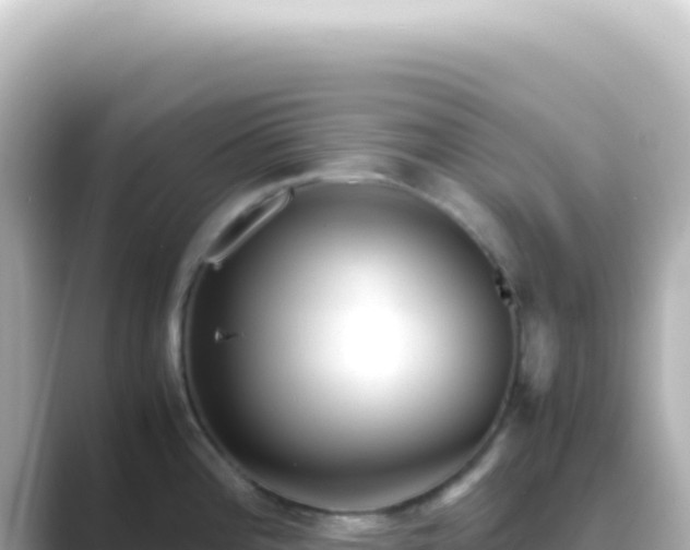 X0000089451196200706221241