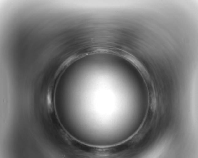 X0000089451198200706221241