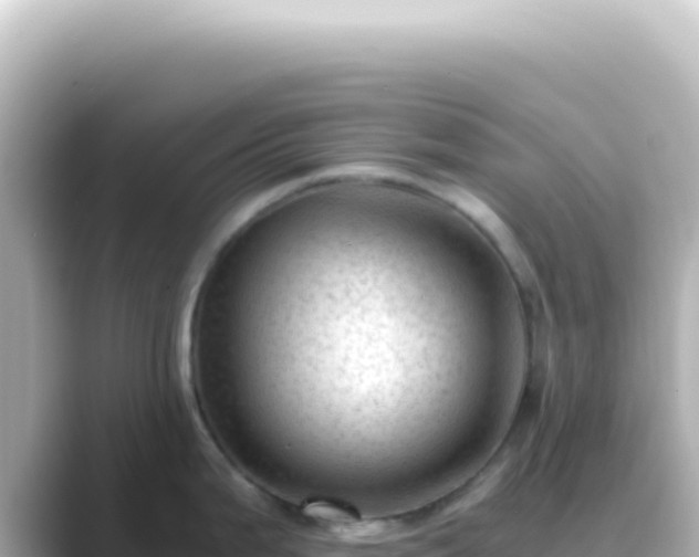 X0000089451199200706221241