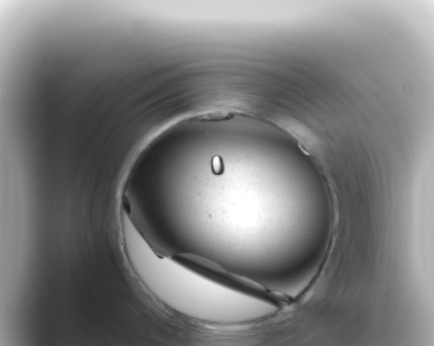X0000089451200200706221241
