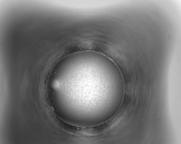 X0000089451201200706221241