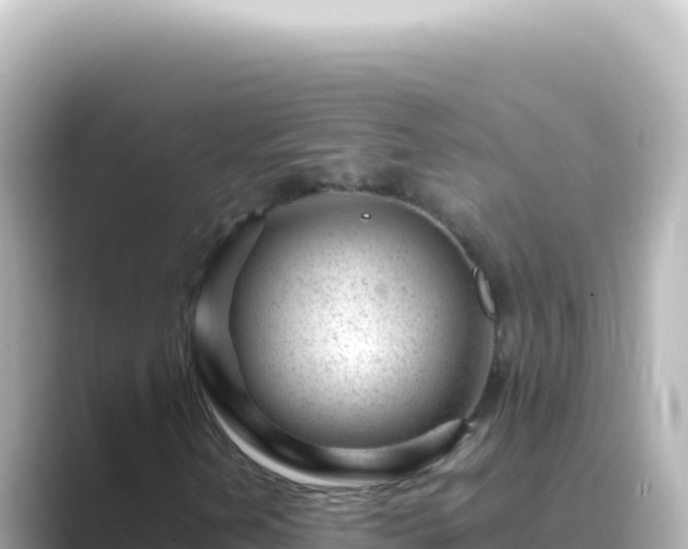 X0000089451202200706221241