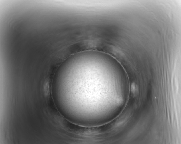 X0000089451203200706221241