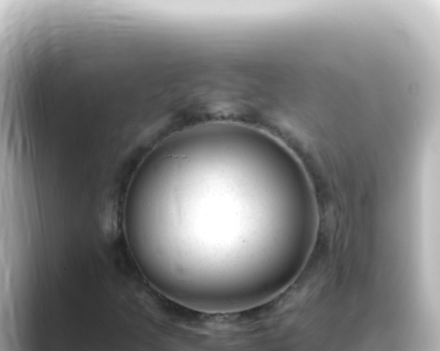 X0000089451205200706221241