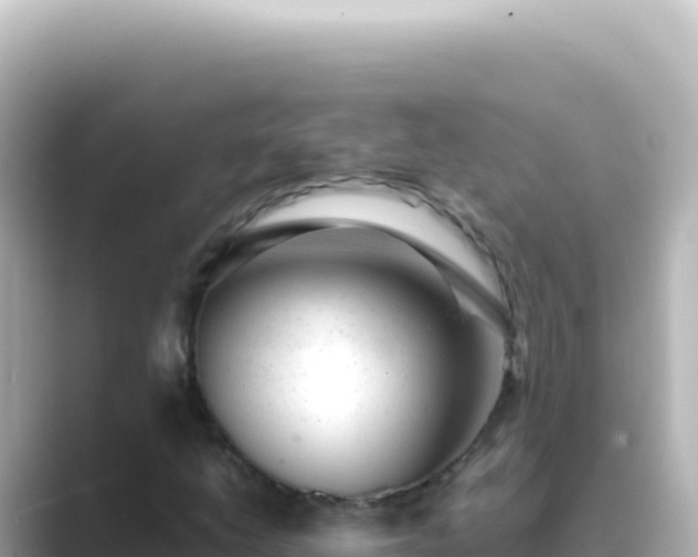X0000089451206200706221241