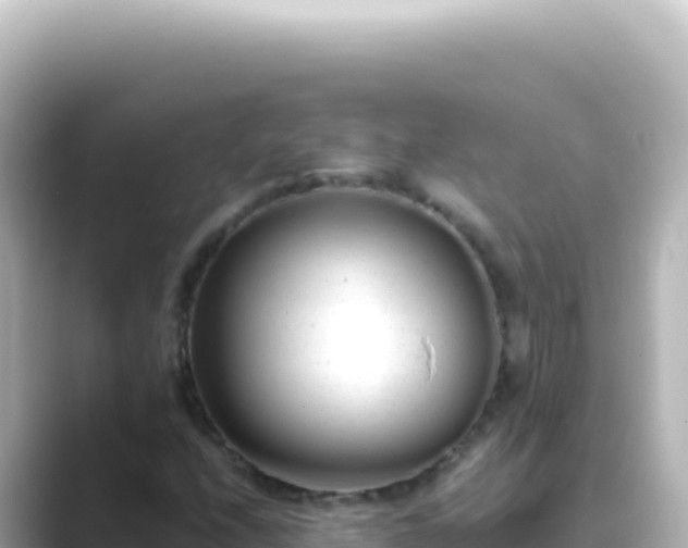 X0000089451208200706221241