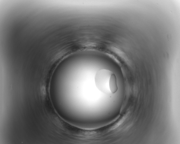 X0000089451209200706221241