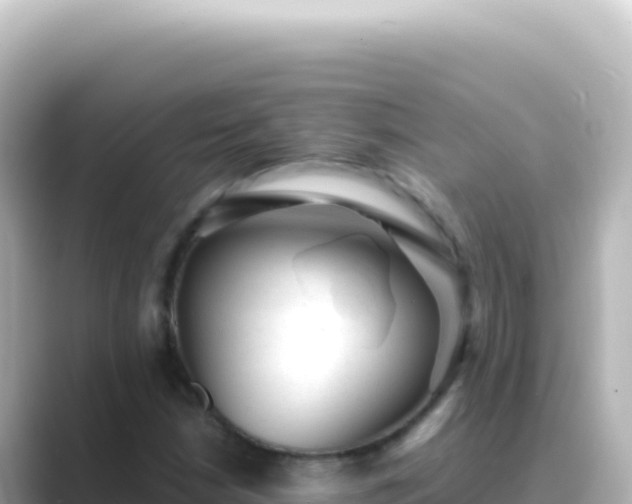 X0000089451210200706221241